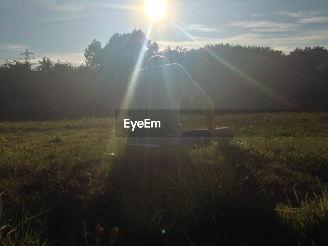 SUNLIGHT STREAMING THROUGH TREES ON GRASSY FIELD