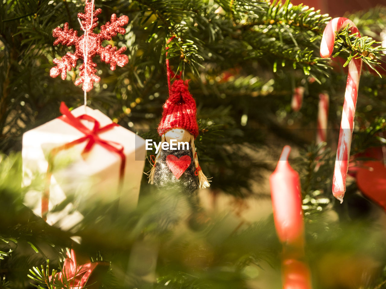 Close-up of christmas tree with decorations