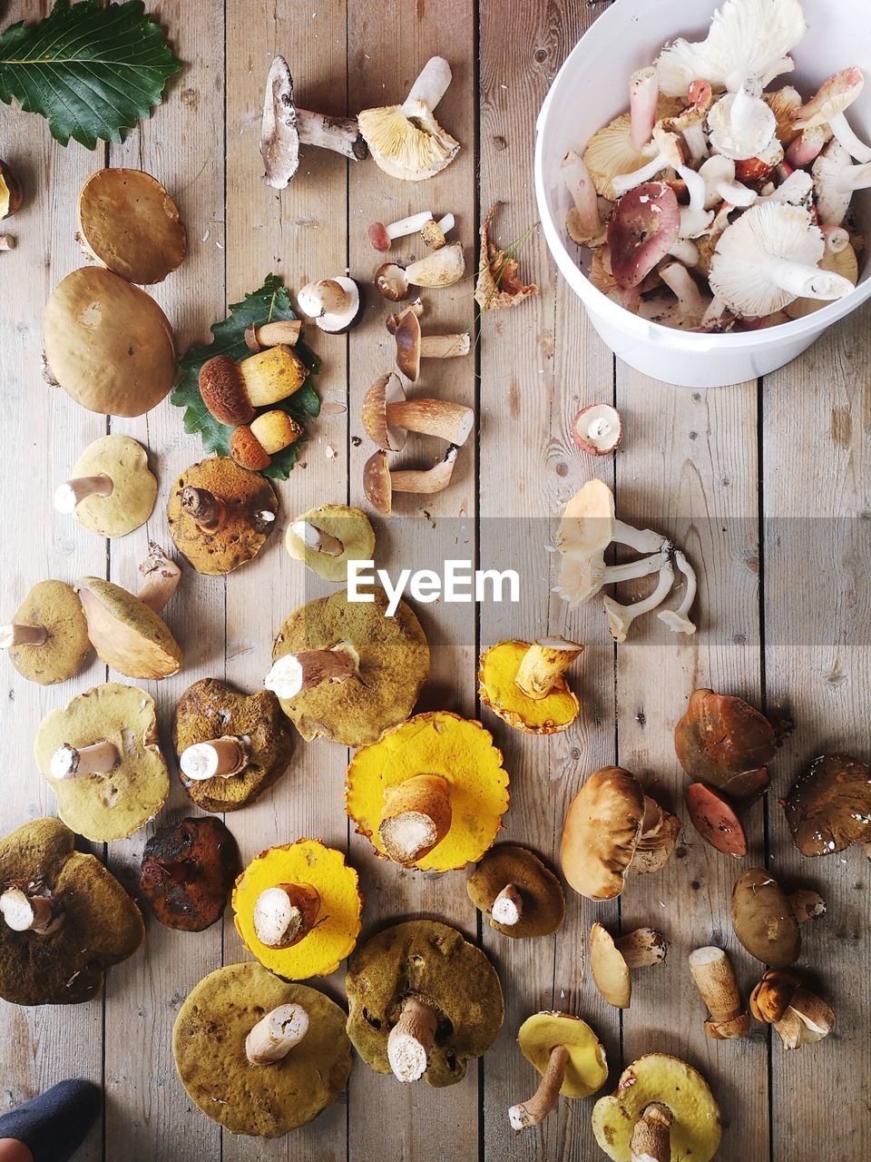 food, food and drink, mushroom, wood, healthy eating, freshness, high angle view, produce, variation, fruit, wellbeing, indoors, no people, large group of objects, nut, nut - food, abundance, vegetable, table, still life, directly above, edible mushroom, spice, celebration, studio shot, christmas