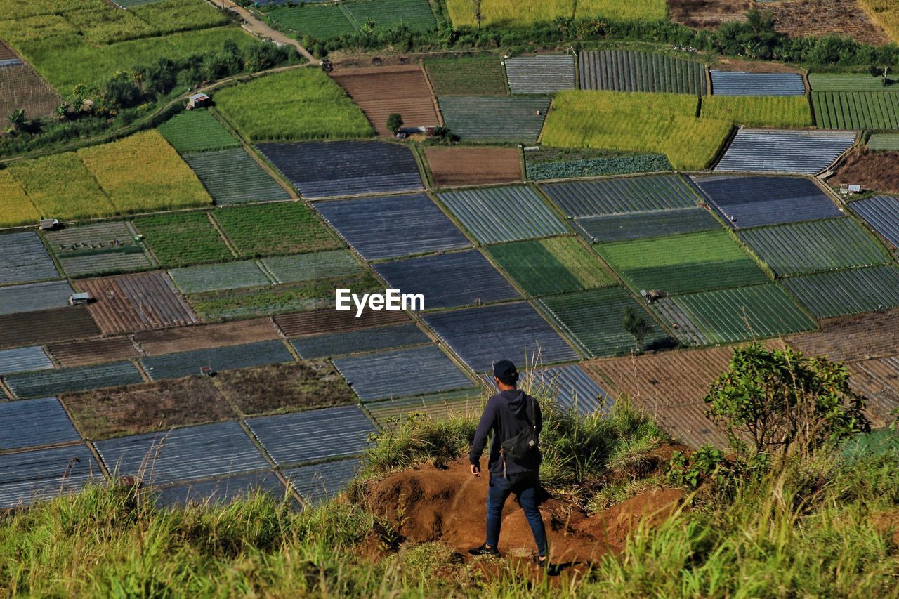 agriculture, environment, field, farm, rural scene, landscape, land, environmental conservation, nature, plant, growth, alternative energy, solar panel, renewable energy, solar energy, occupation, one person, soil, adult, power generation, crop, plain, rural area, men, high angle view, beauty in nature, working, day, outdoors, farmer, lifestyles, green, rear view, scenics - nature, pattern, full length, technology, aerial photography, grass