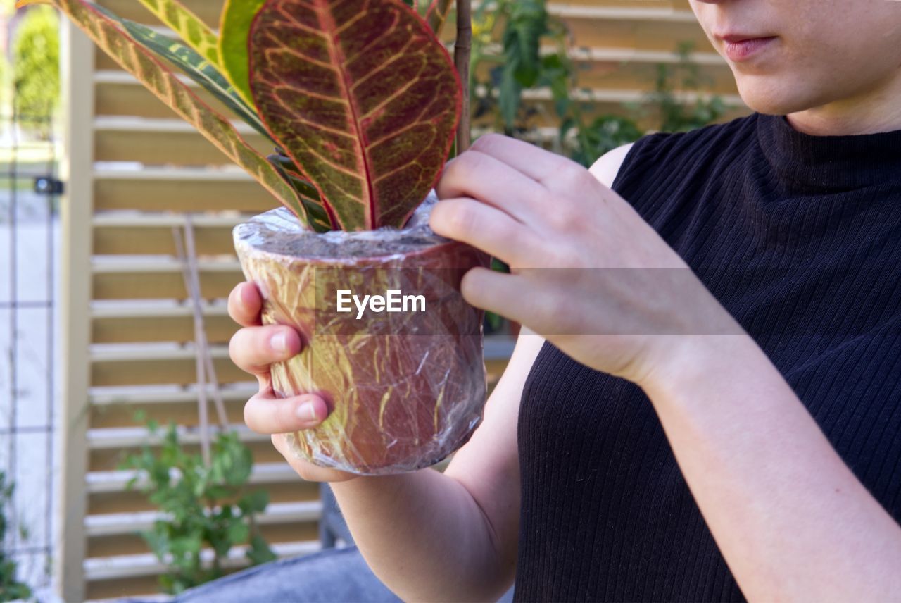 Young woman unboxing houseplants delivered by mail from an online shop