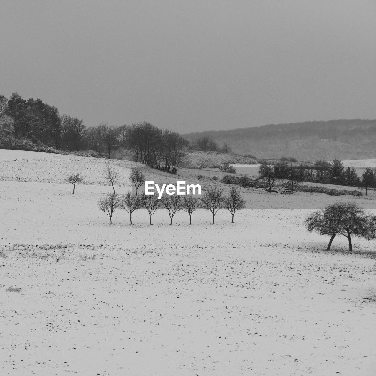 Trees on snowy field against clear sky during winter