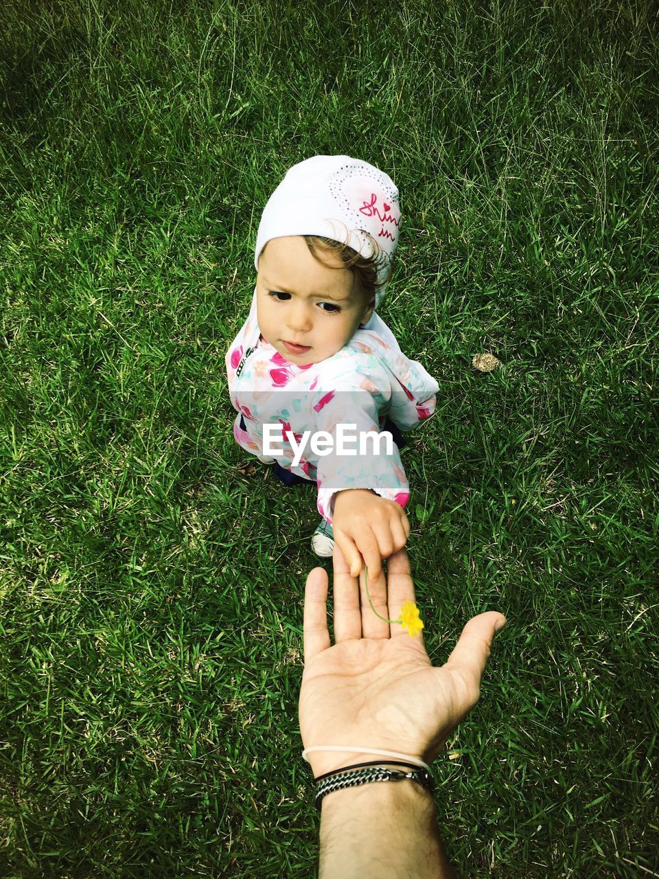 High angle view of girl giving flower to parent while standing on field