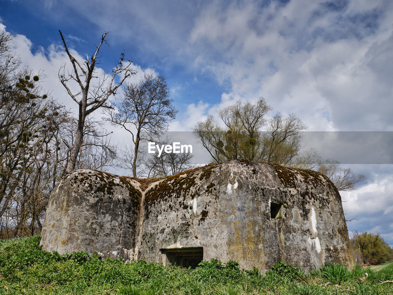 plant, ruins, sky, cloud, rural area, tree, architecture, nature, built structure, grass, history, building, no people, land, landscape, the past, rock, field, outdoors, building exterior, old, day, house, environment, stone material, old ruin, ancient, rural scene, travel destinations, ancient history, abandoned, scenics - nature