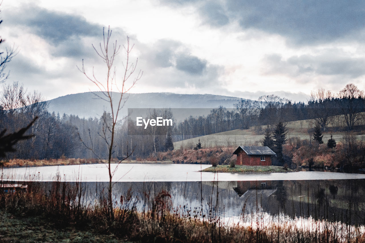 PLANTS AND TREES BY LAKE AGAINST BUILDINGS AND MOUNTAINS