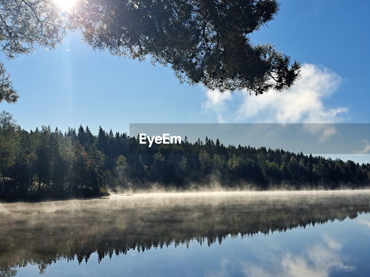 reflection, nature, tree, water, plant, sky, scenics - nature, beauty in nature, lake, tranquility, morning, wilderness, cloud, forest, tranquil scene, no people, winter, environment, sunlight, landscape, land, sun, mountain, mist, non-urban scene, coniferous tree, pine tree, outdoors, fog, pinaceae, day, body of water, pine woodland, blue, autumn, idyllic, travel destinations, woodland, dawn