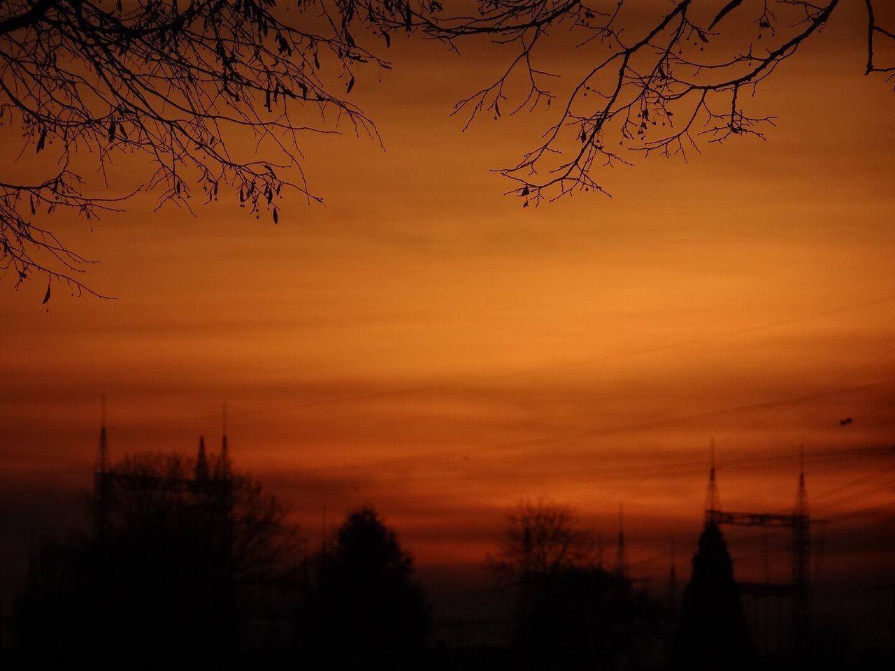 SILHOUETTE TREES AGAINST SKY AT SUNSET