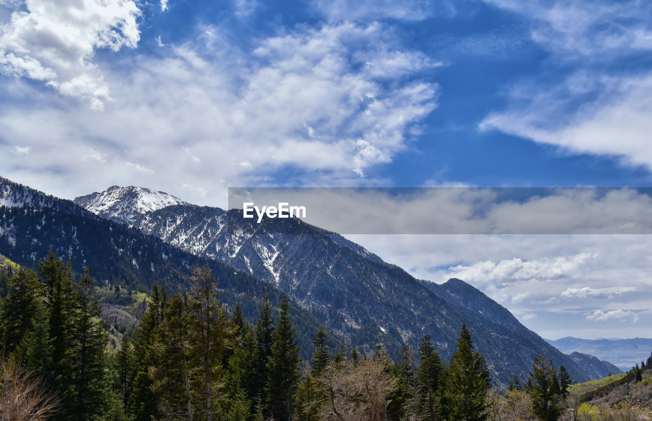 SCENIC VIEW OF MOUNTAINS AND TREES AGAINST CLOUDY SKY