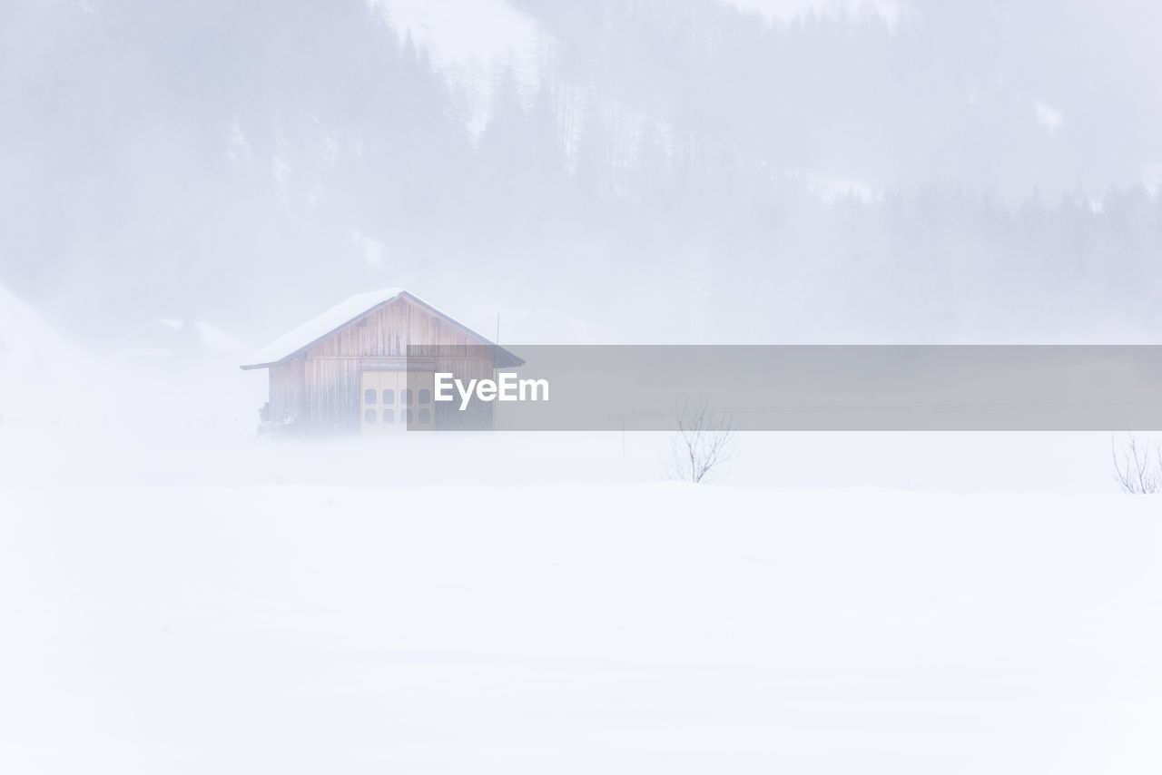 House on snow covered tree by building against sky