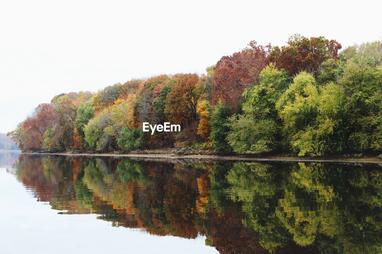 Reflection of trees in calm lake