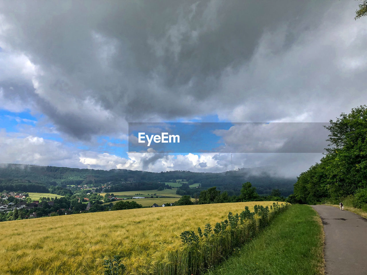 Summertime in the countryside