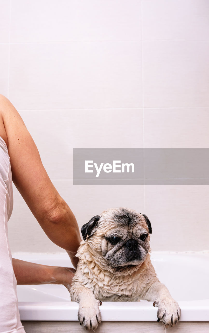 MIDSECTION OF WOMAN WITH DOG ON SAND AT HOME