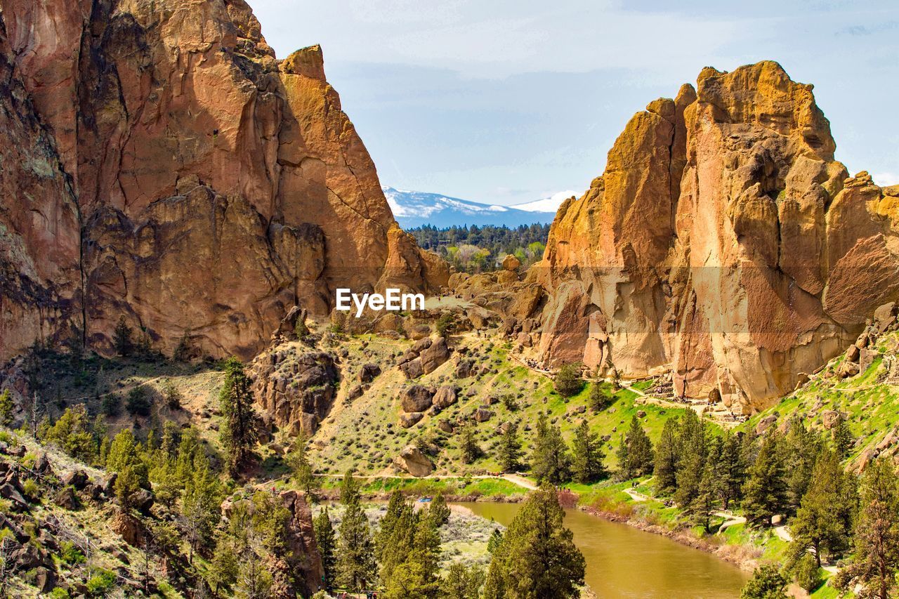 PANORAMIC VIEW OF ROCK FORMATION AMIDST PLANTS AGAINST SKY