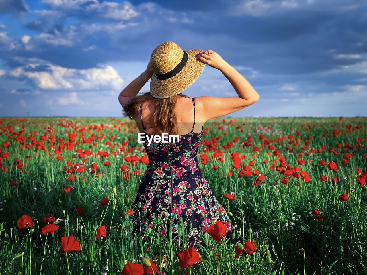 Rear view of woman wearing hat and dress in a field of poppies