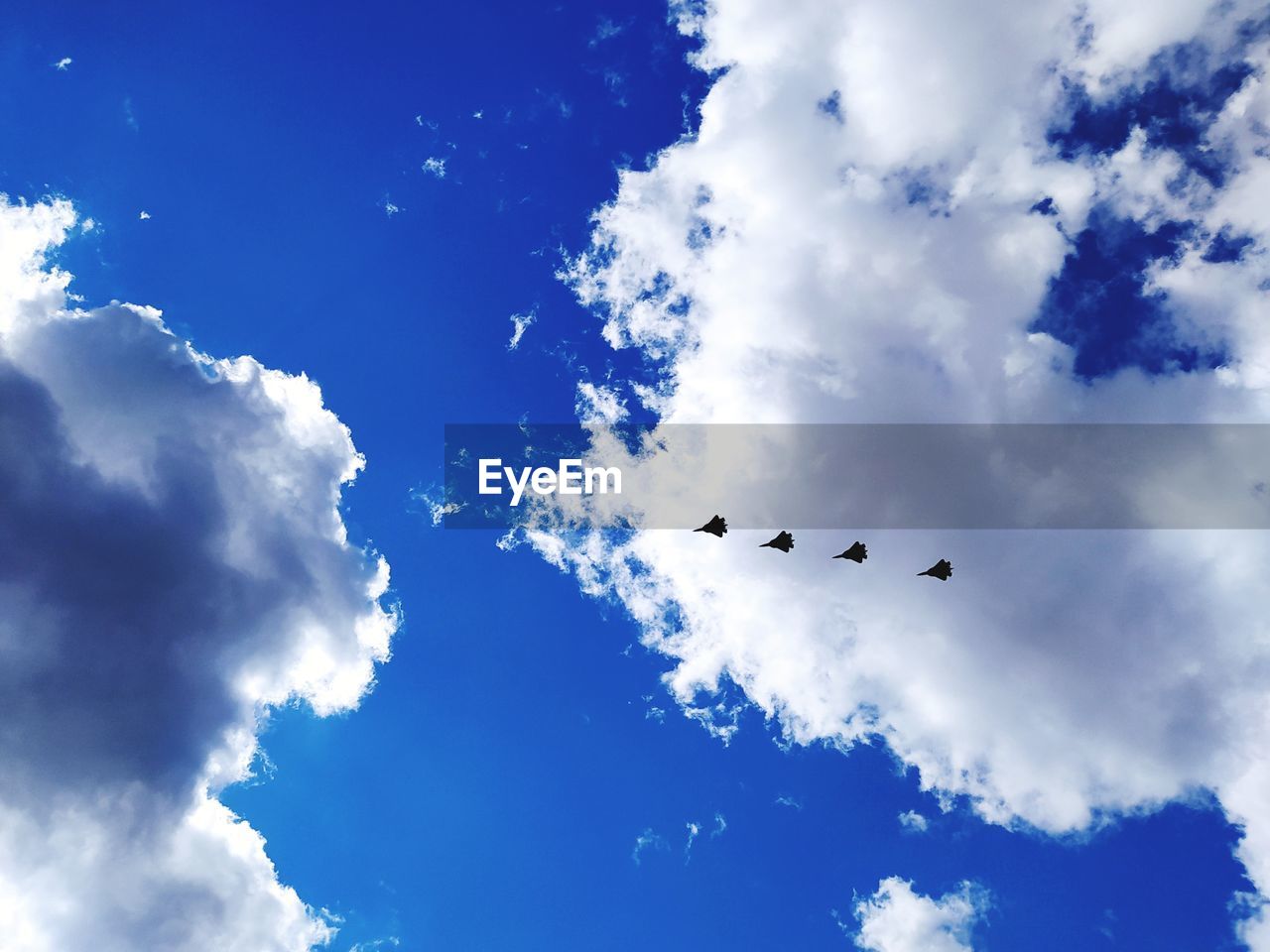 LOW ANGLE VIEW OF BIRDS IN SKY