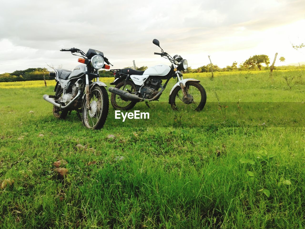 Motorcycles parked on field against sky