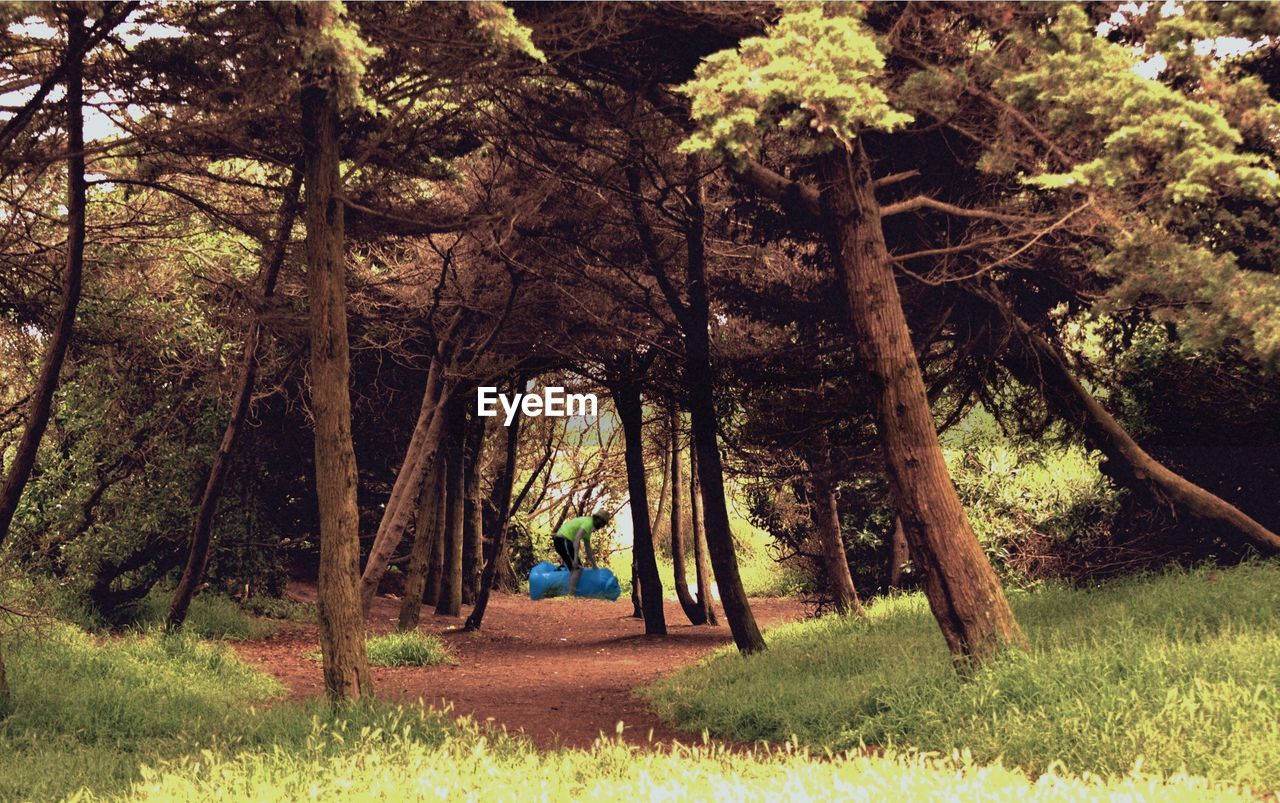 REAR VIEW OF A MAN WALKING ON FOREST