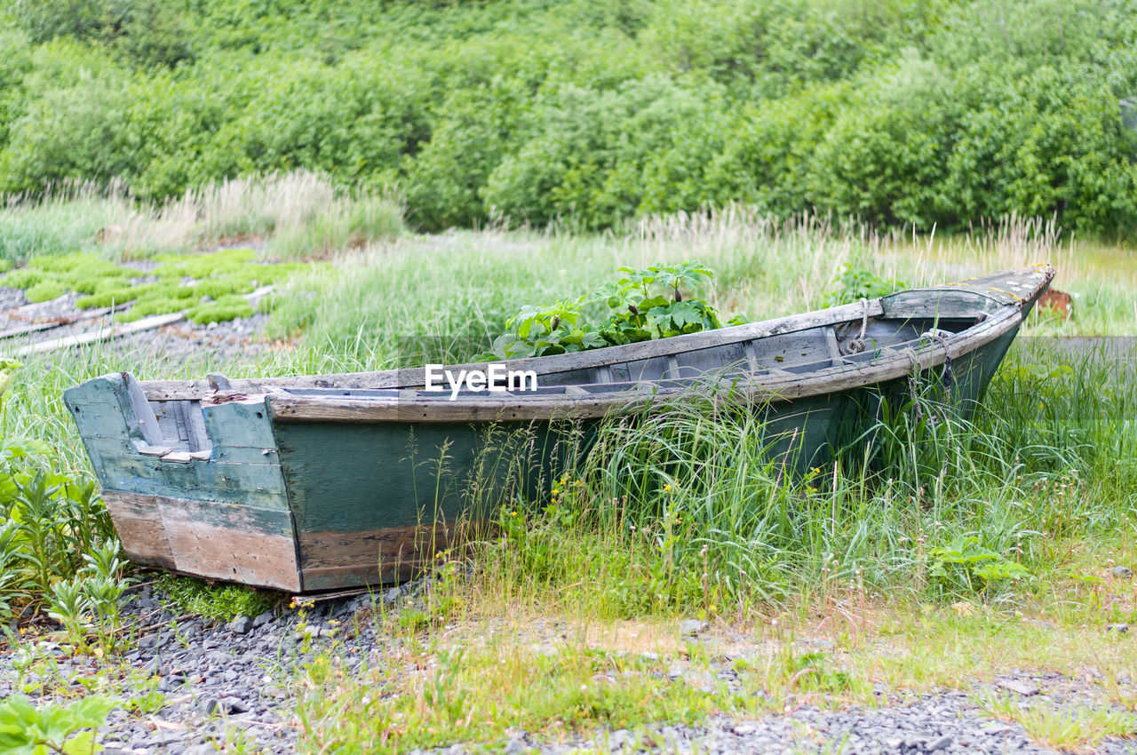ABANDONED BOATS ON FIELD