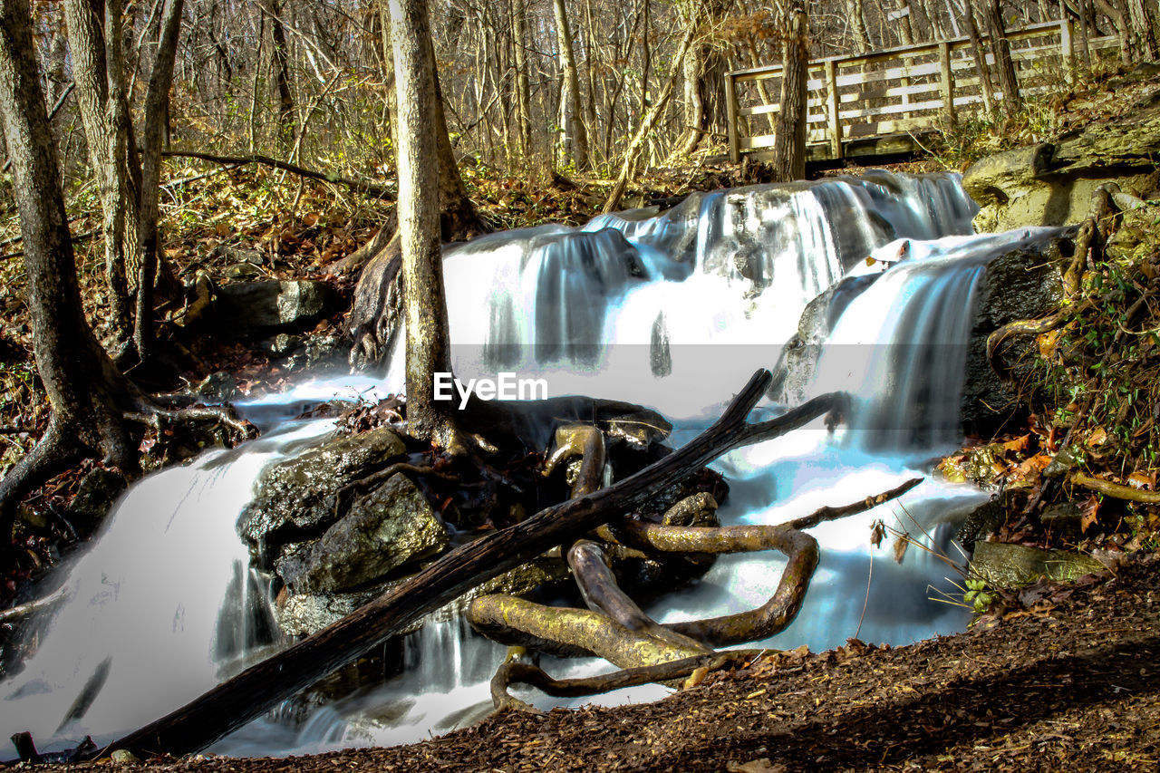 Stream flowing through rocks in forest