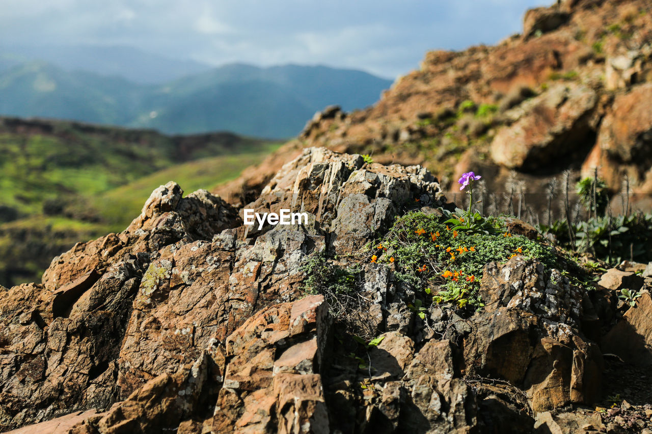 Close-up of rocks on land against mountains