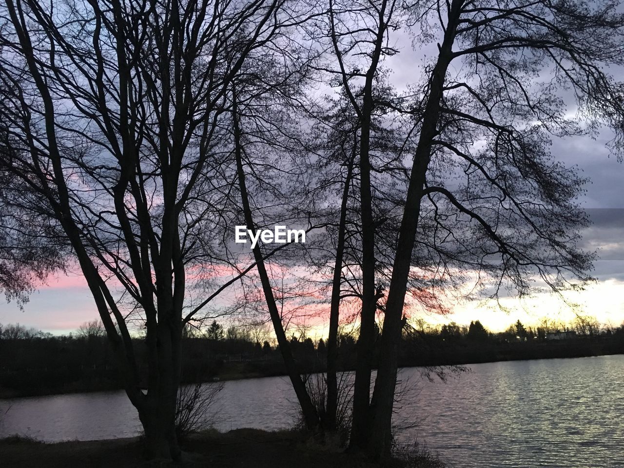 BARE TREES BY LAKE AGAINST SKY