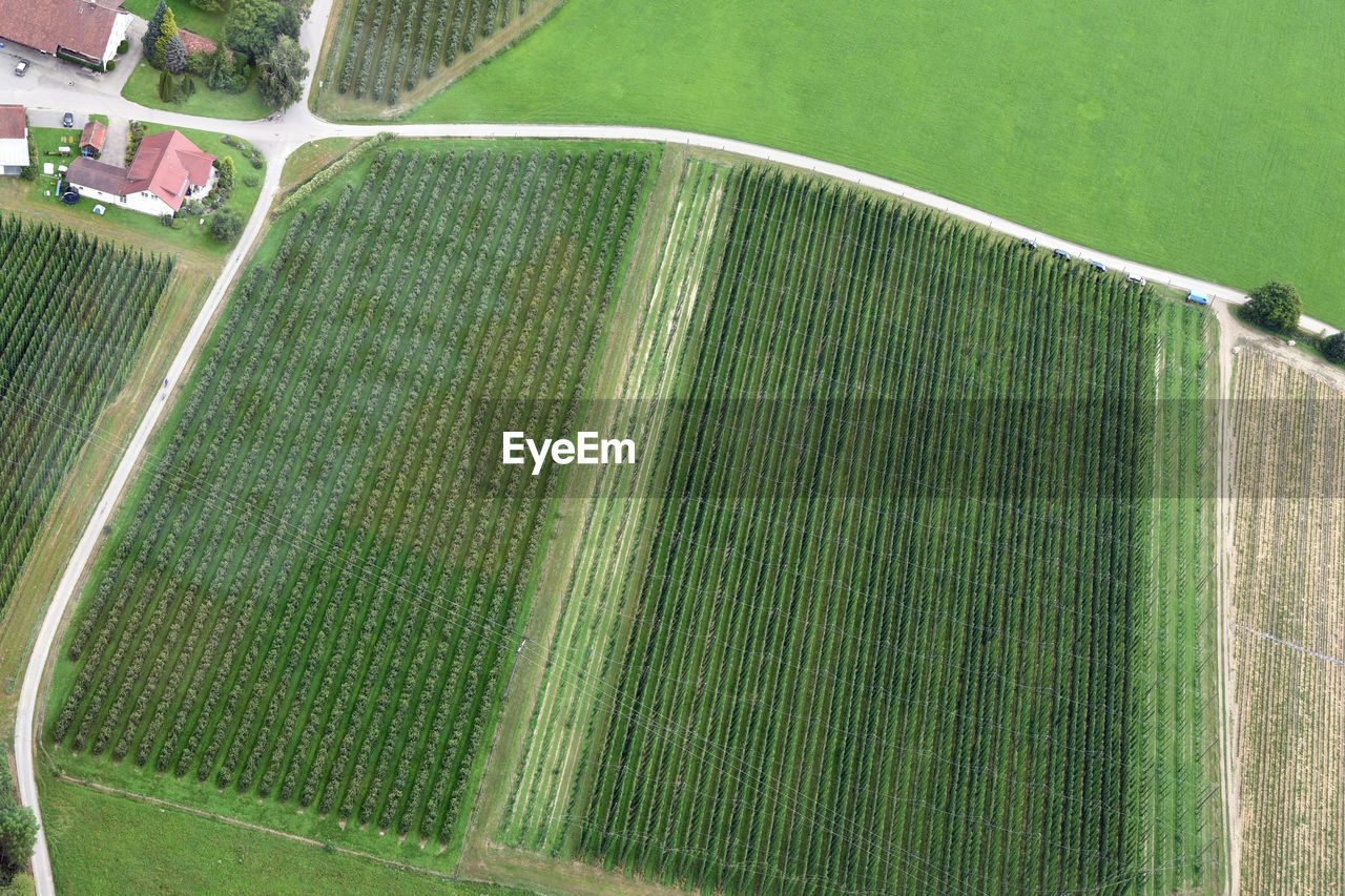 Aerial view of agricultural land