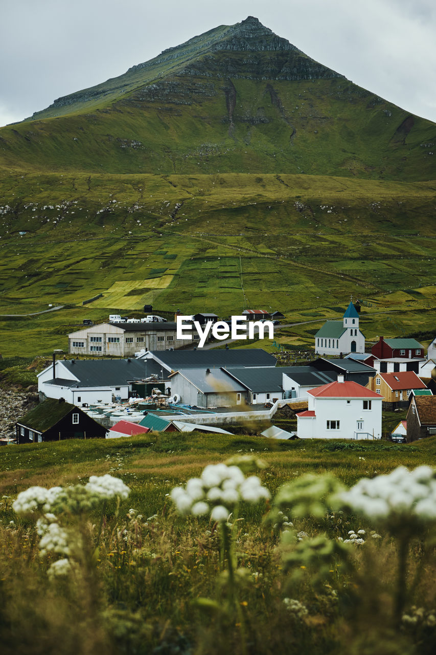 Houses on field against mountain