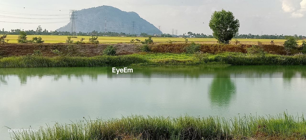 SCENIC VIEW OF LAKE WITH TREES IN BACKGROUND