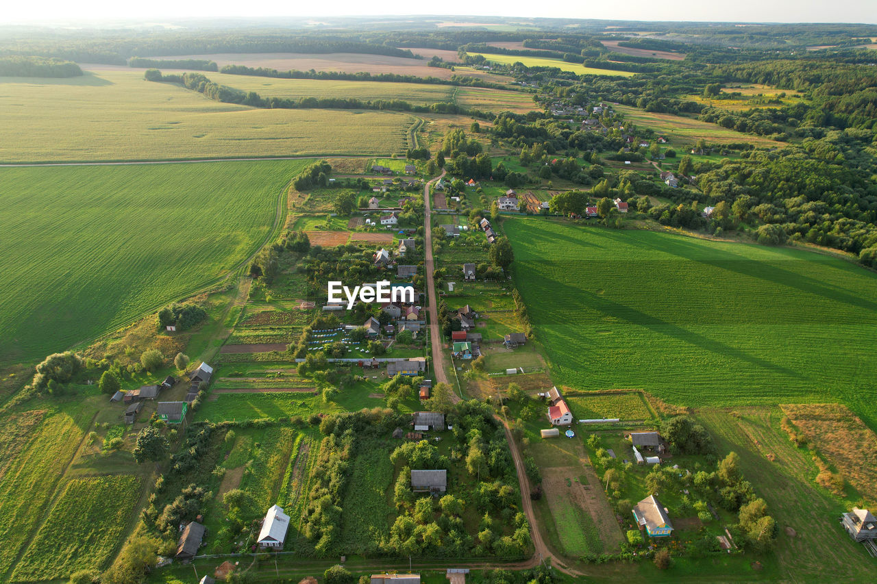 Country houses in the countryside. aerial view of roofs of green field with rural homes.