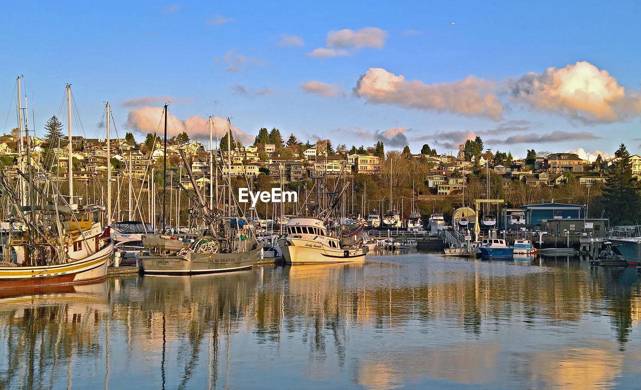 BOATS MOORED IN HARBOR AGAINST BUILDINGS