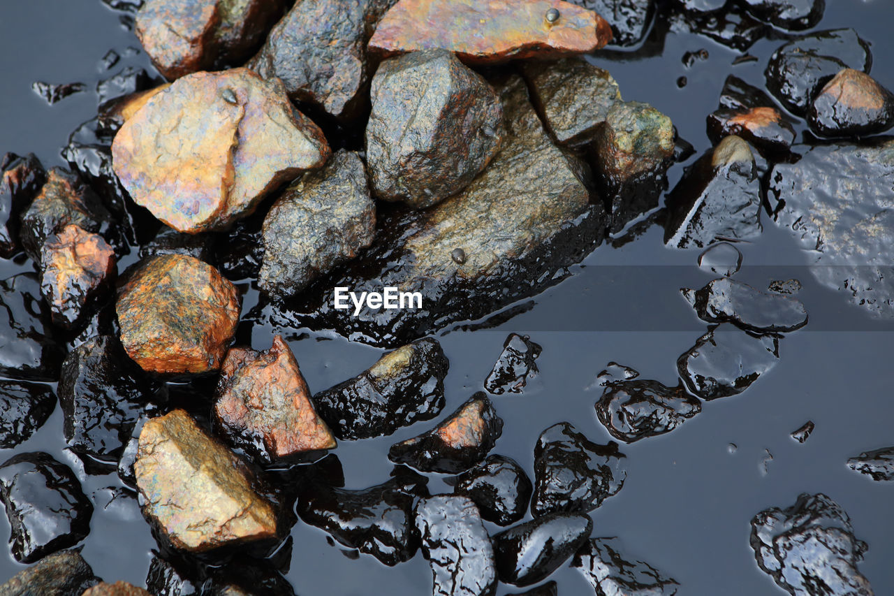 CLOSE-UP OF LEAVES FLOATING ON WATER