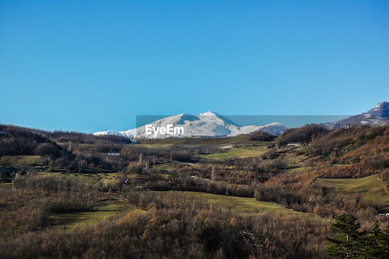 SCENIC VIEW OF FIELD AGAINST CLEAR BLUE SKY