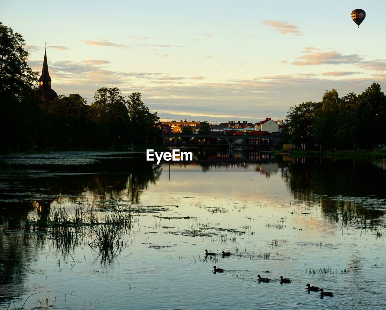 SWANS SWIMMING IN LAKE AGAINST SKY