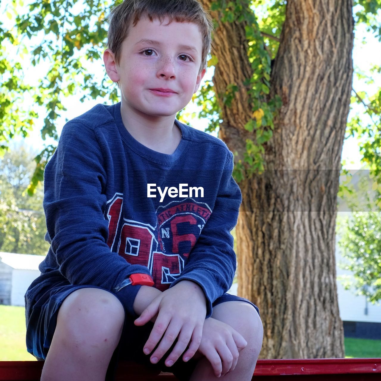 Portrait of boy sitting on bench in park