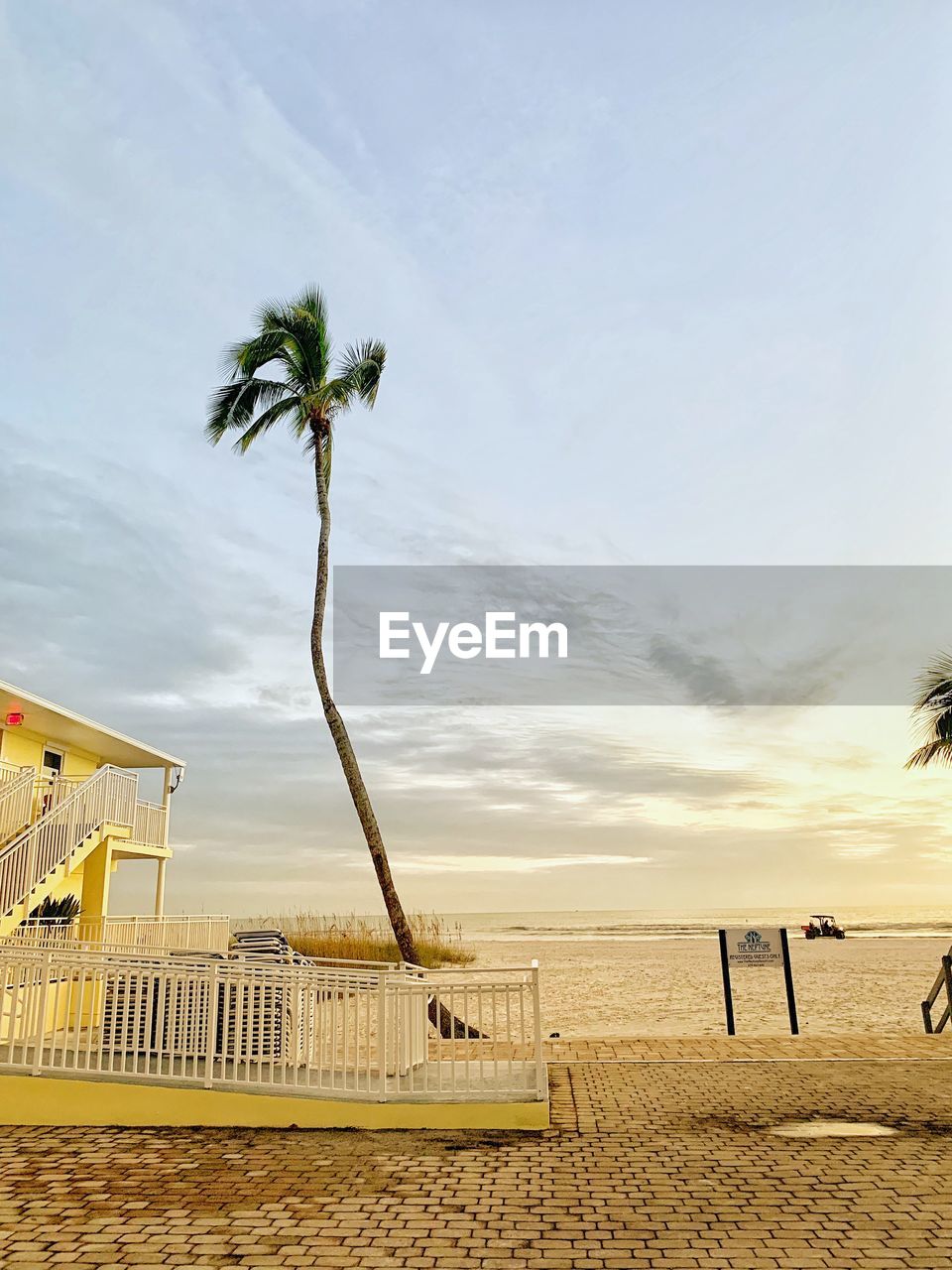 Palm trees on beach against sky