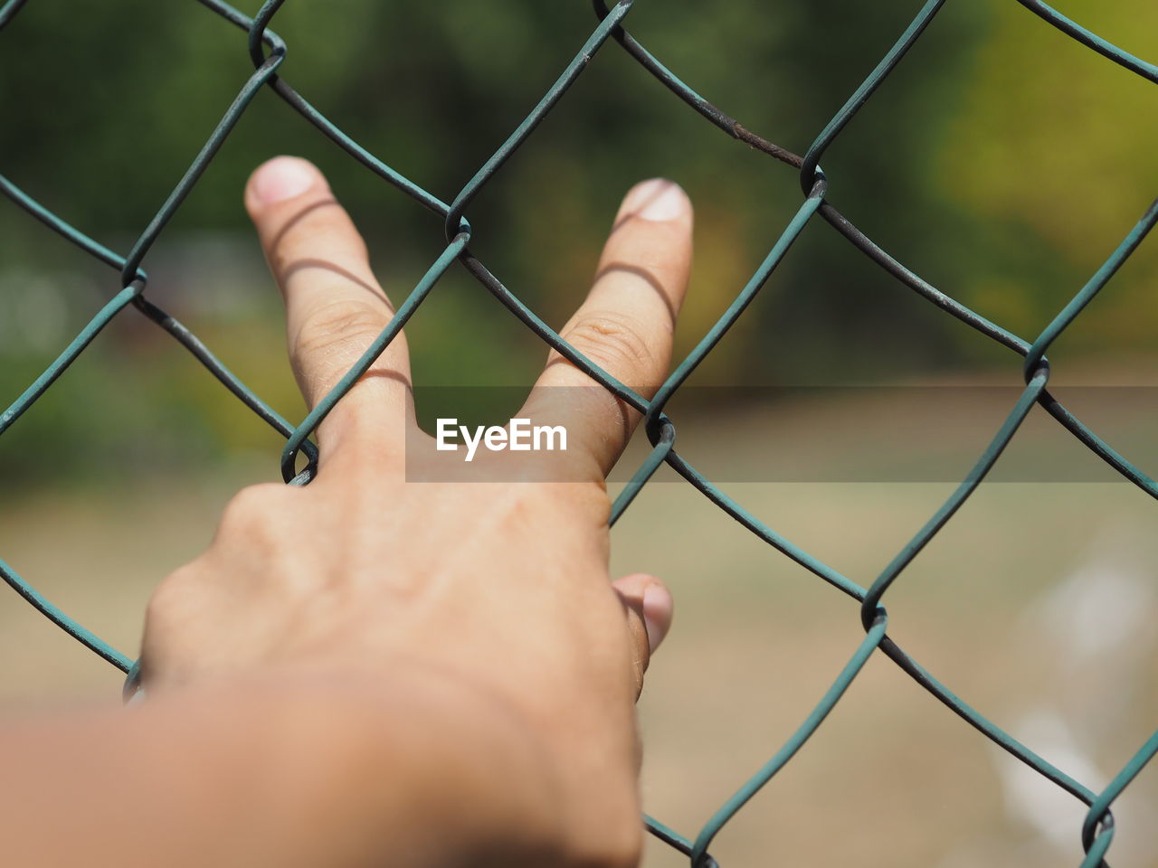 Cropped hand of person showing peace sign through chainlink fence