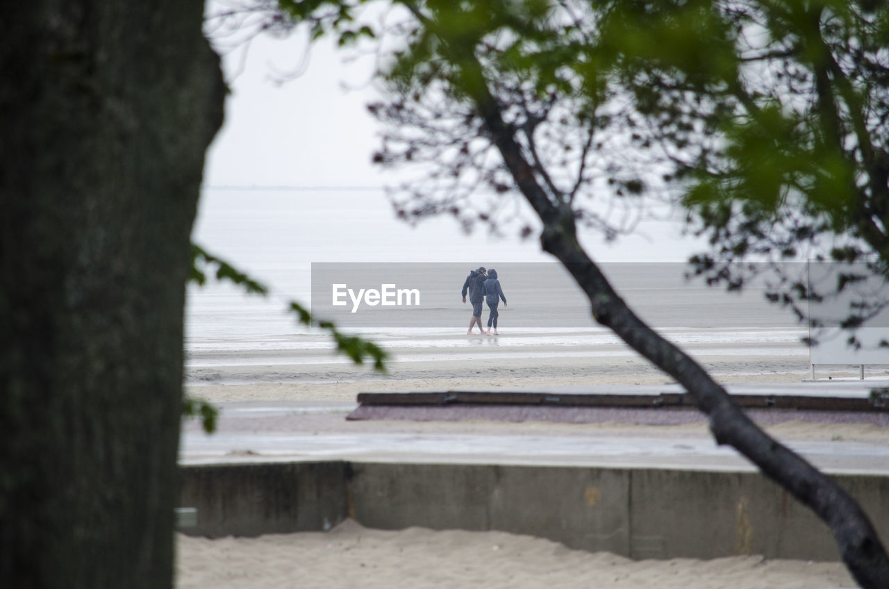 Rear view of couple walking on beach