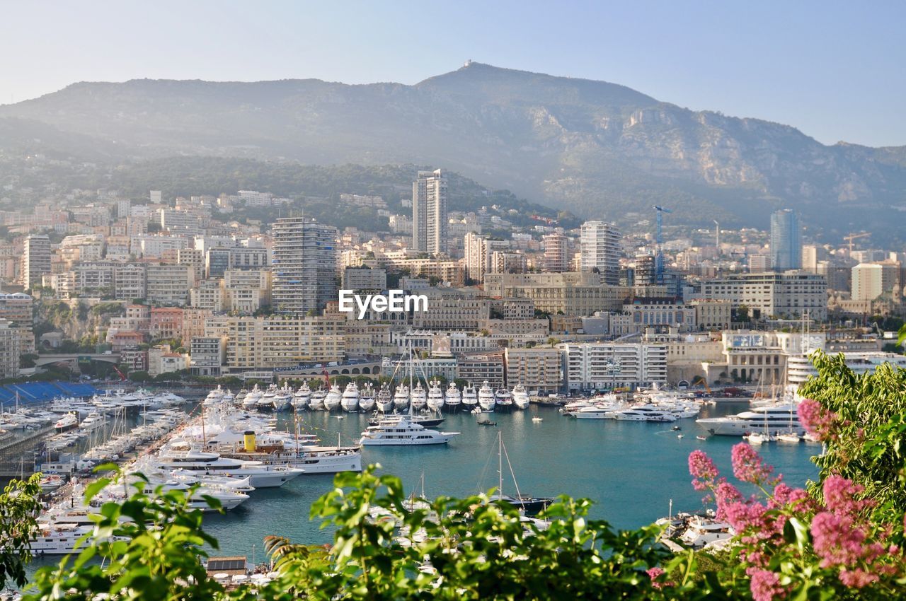 Sailboats at harbor in city against mountain