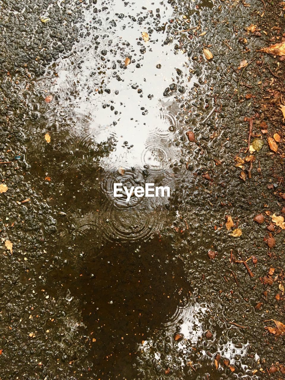 CLOSE-UP OF RAINDROPS ON PUDDLE