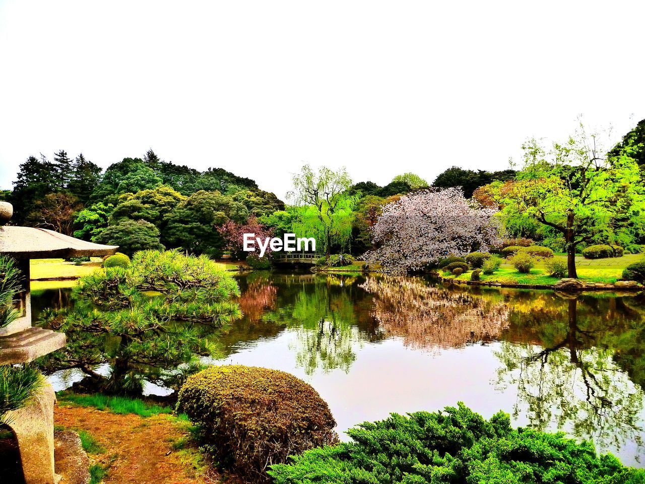 VIEW OF LAKE WITH TREES IN BACKGROUND