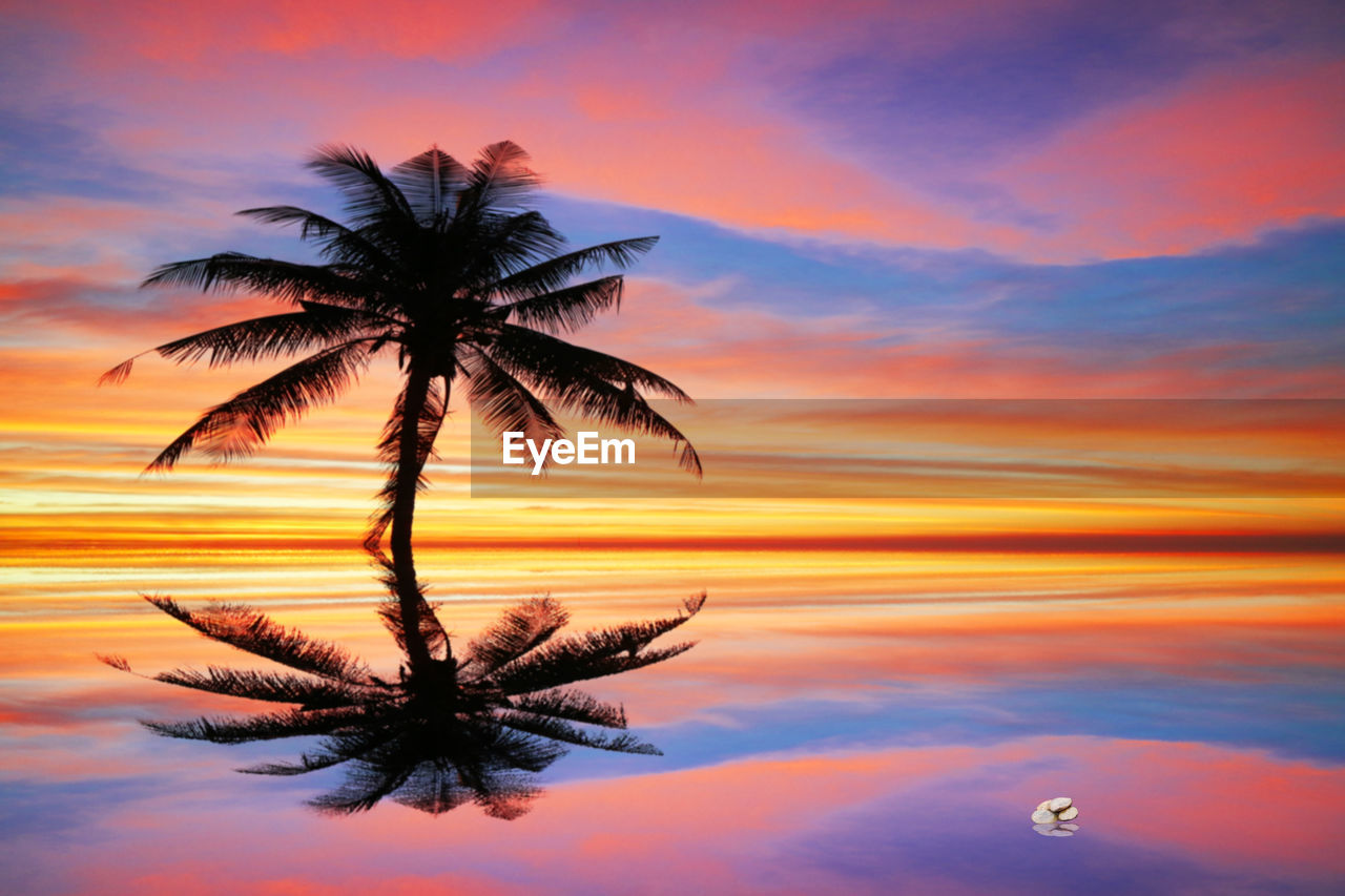 Silhouette palm tree against sea during sunset