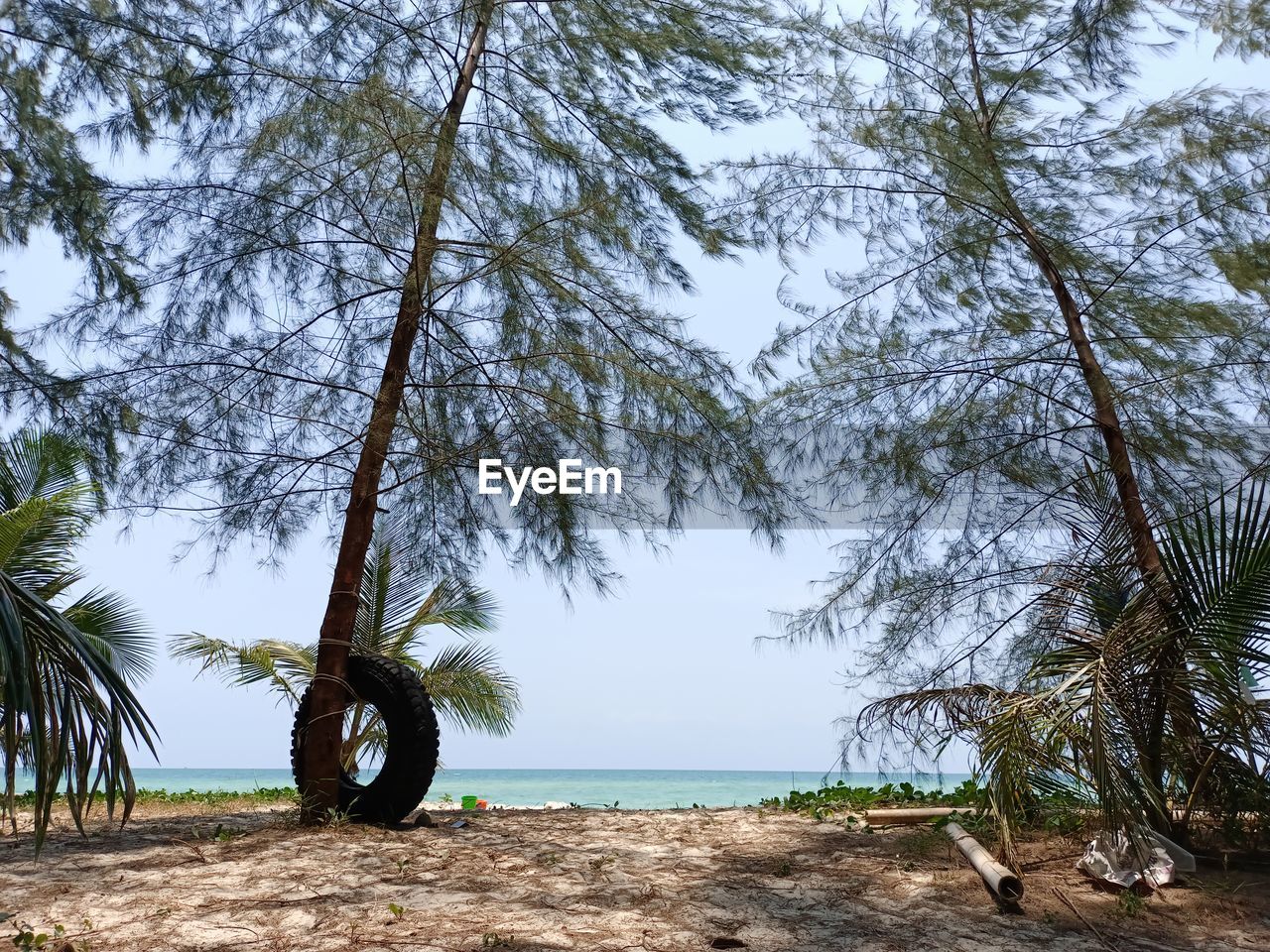 Ban Chuen Beach in Trat Province, Thailand Tree Water Beach Sea Branch Tree Trunk Sand Rural Scene Sky Landscape Growing Swing