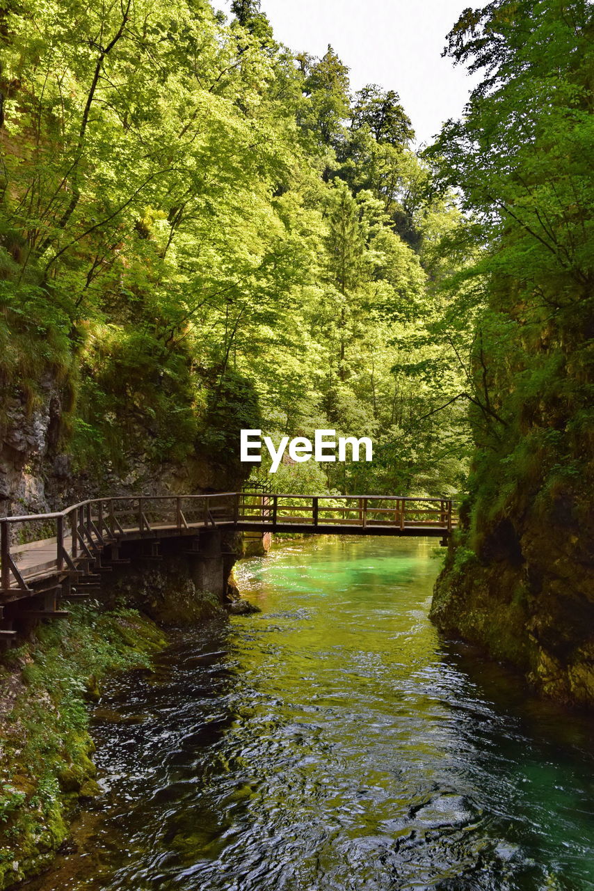SCENIC VIEW OF RIVER