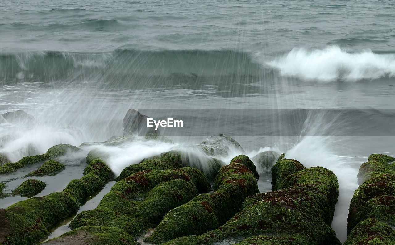 Waves splashing on moss covered rocks