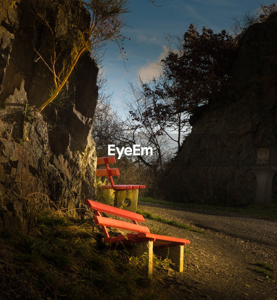 EMPTY BENCHES IN THE DARK