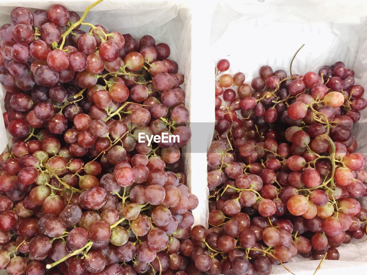 CLOSE-UP OF GRAPES IN MARKET