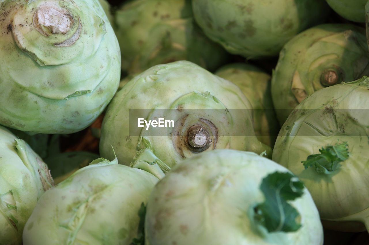 Full frame shot of turnips