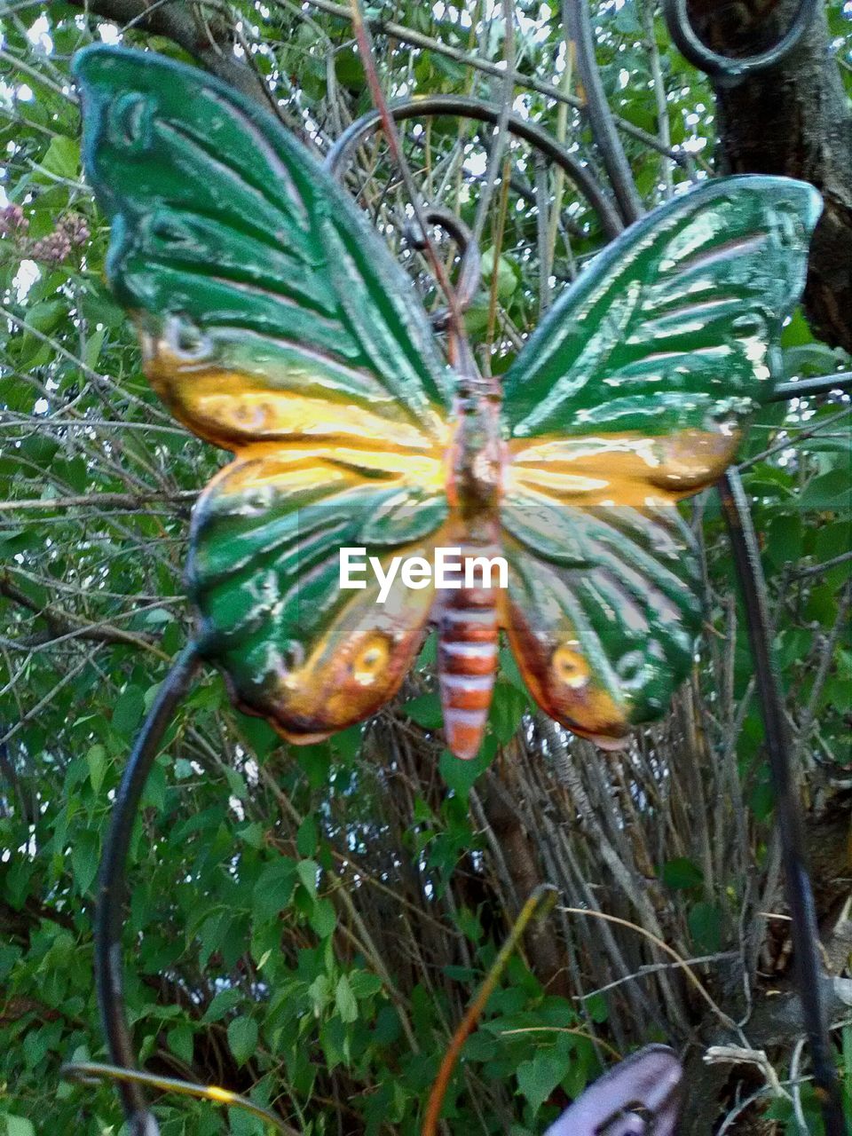 CLOSE-UP OF CATERPILLAR ON PLANTS