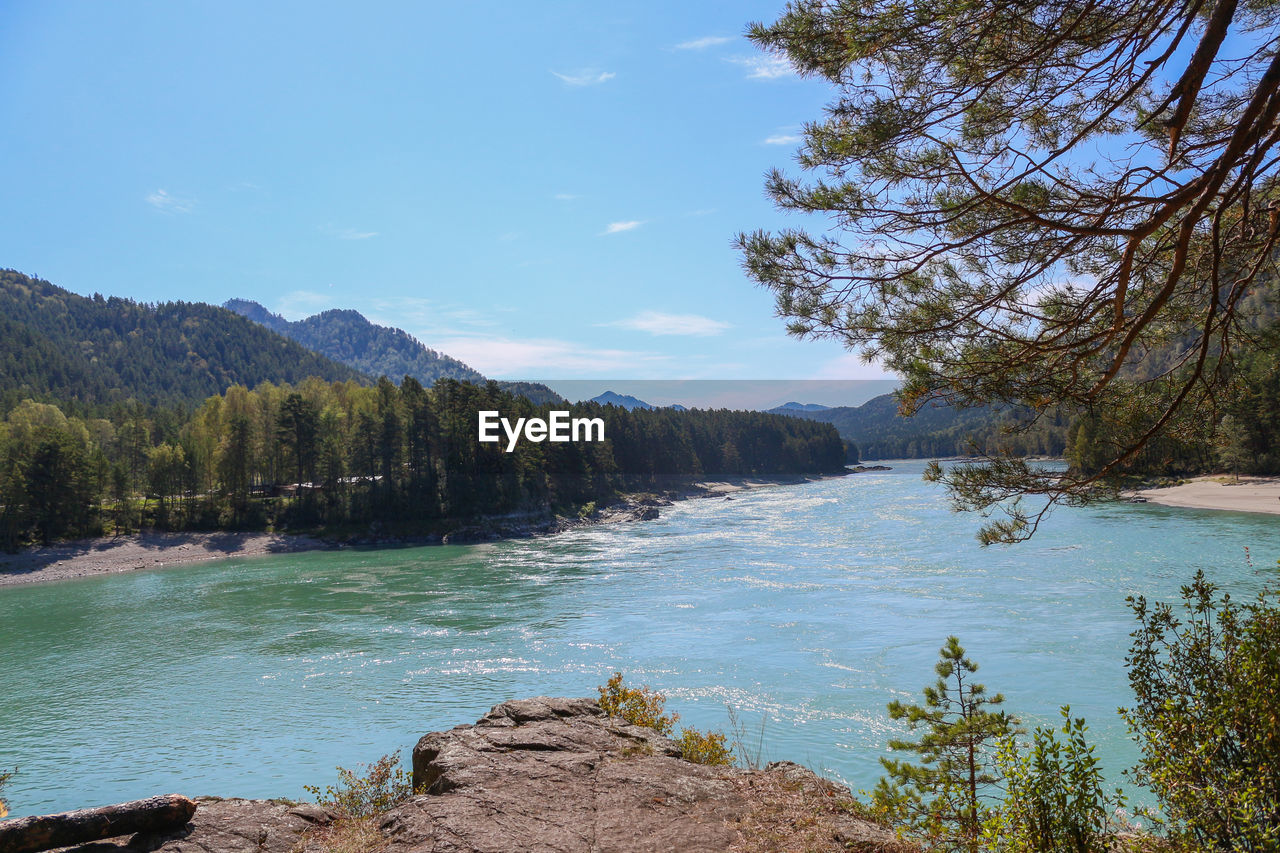 SCENIC VIEW OF LAKE AMIDST TREES AGAINST SKY