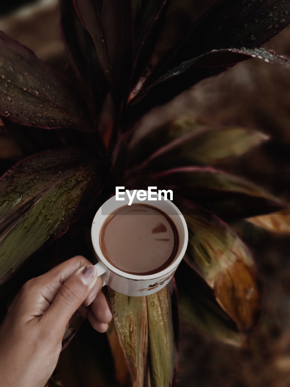 Cropped hand holding coffee